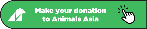 Make your donation today!